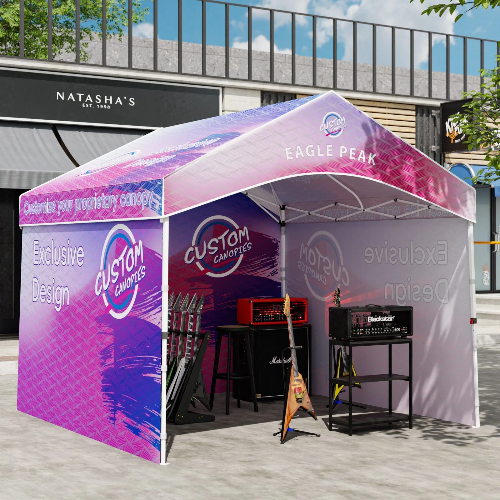10x10 Alps Custom Commercial Canopy with 3 Wall Panels and Gable Roof, Pop Up Custom Canopy Tent with Logo